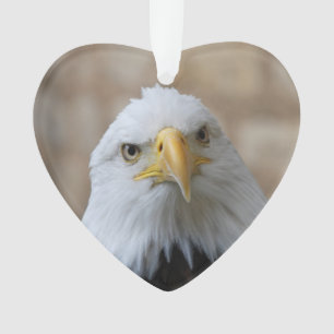 Ornamento Eagle_2015_0201