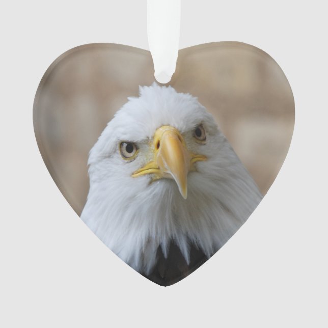 Ornamento Eagle_2015_0201 (Frente)