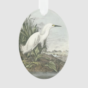Ornamento Egret nevado por Audubon