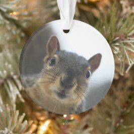 Ornamento Ei, ali perto do travesseiro prateado do colar.