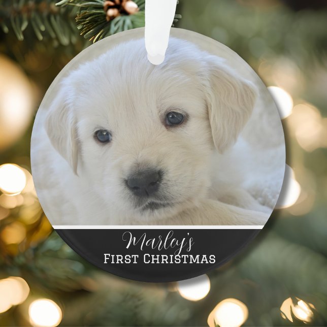 Ornamento Elegant Scripted Pet's First Christmas (Criador carregado)
