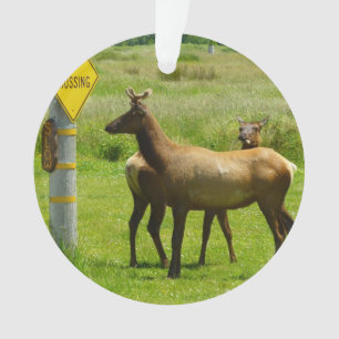 Ornamento Elk Crossing California Wildlife