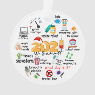 Ornamento Em 2021 Sobrevivemos À Decoração Engraçada