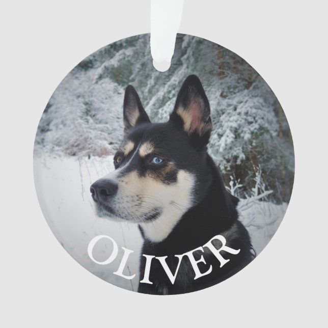 Ornamento Em Memória do Cachorro-Pet Memorial Keepsasasaokê (Frente)