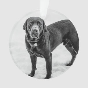 Ornamento Em Memória - Memorial personalizável Black Lab