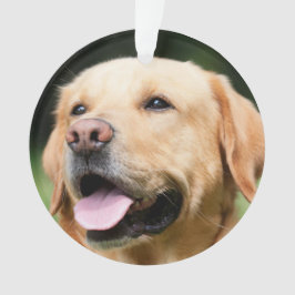 Ornamento Em Memória - Memorial personalizável Gold Lab