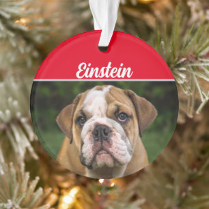 Ornamento English Bulldog with Name and Photo Christmas