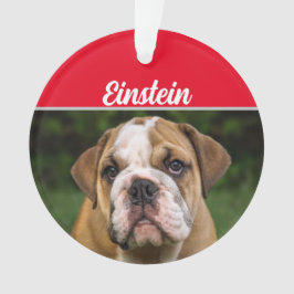 Ornamento English Bulldog with Name and Photo Christmas