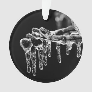 Ornamento entre no inverno gelado