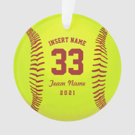 Ornamento Equipe de Softball Personalizada