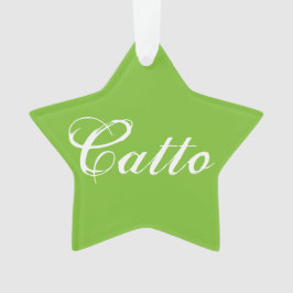 Ornamento Estrela Verde "Catto"