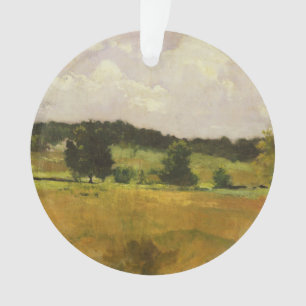 Ornamento Estudo da paisagem