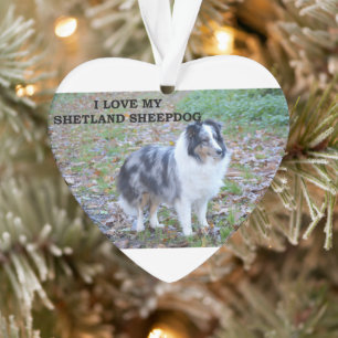 Ornamento Eu Amo Meu Shetland Sheepdog