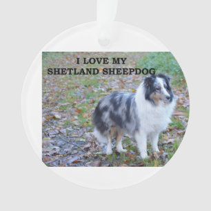 Ornamento Eu Amo Meu Shetland Sheepdog