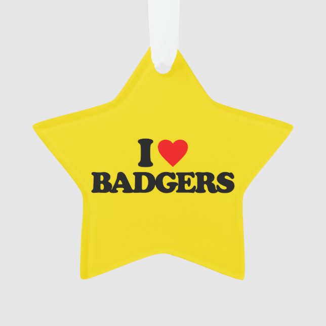 ORNAMENTO EU AMO TEXUGOS (Frente)