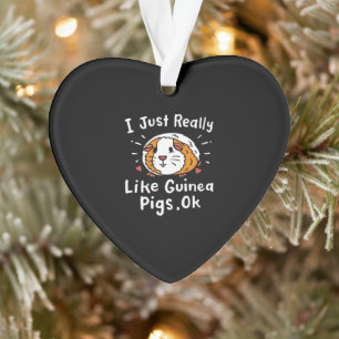 Ornamento Eu Gosto Muito De Guiné, Pig Kawaii