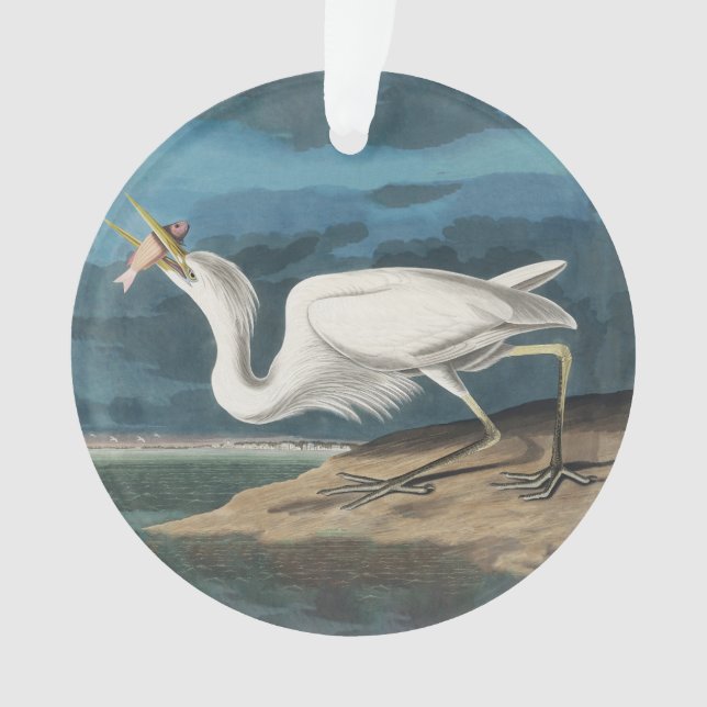 Ornamento Excelente White Heron Audubon Bird Willife Paintin (Frente)