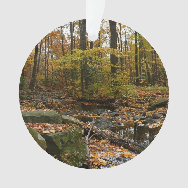 Ornamento Fall Creek com Reflexão no Laurel Hill Park (Frente)
