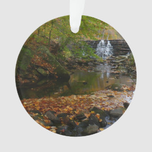 Ornamento Fall Waterfall e Creek Pennsylvania Nature Photo