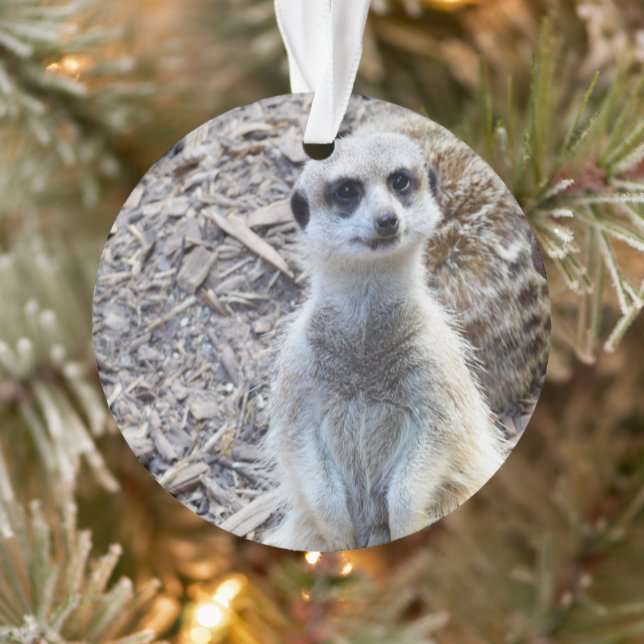 Ornamento Feliz Meerkat, (Árvore)