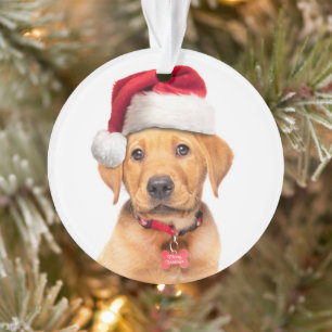 Ornamento Feliz Natal, Labrador Puppy, em Santa Hat