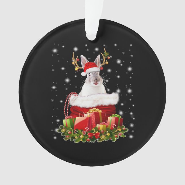 Ornamento Feliz presente de Natal para Bunny Lover (Frente)