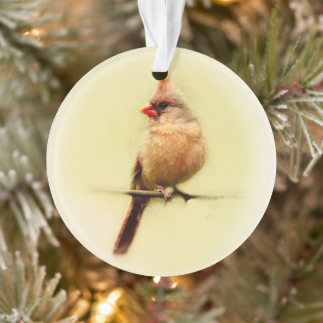 Ornamento Female Cardinal Songbird (Árvore)