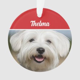 Ornamento Feriado do Nome Coton de Tulear