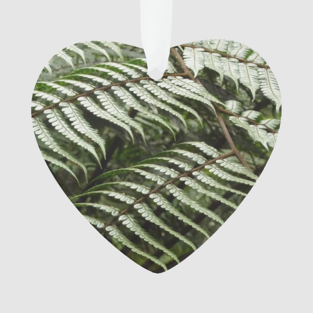 Ornamento Fern Fronds II Dark Green Nature (Frente)