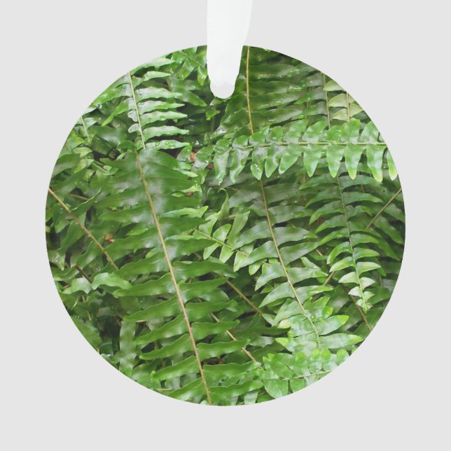 Ornamento Fern Frontes I Green Nature (Frente)