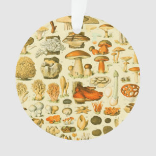 Ornamento Ferramentas de Vintagem de Cogumelo Arte Botânica