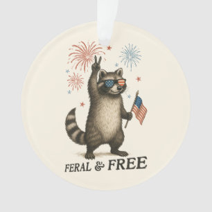 Ornamento Férrimo Mas Livre Fogos De Artifício Feral Raccoon