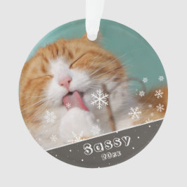 Ornamento Festivo Pet Cat Foto Keepsae Natal