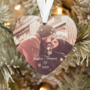 Ornamento Festivo Red Poinsettia Natal Foto Floral