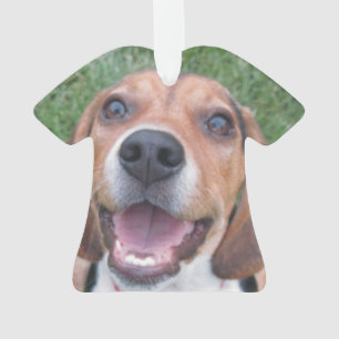 Ornamento Filhote de cachorro de sorriso do lebreiro