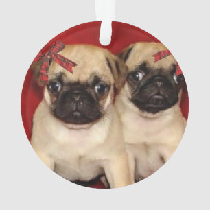Ornamento Filhotes de cachorro do pug do Natal