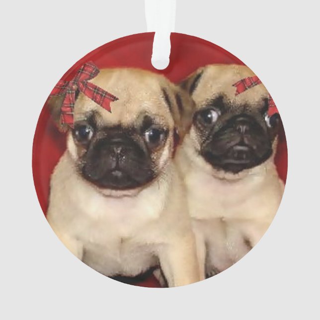 Ornamento Filhotes de cachorro do pug do Natal (Verso)
