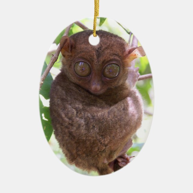 Ornamento filipino de Tarsier (Frente)