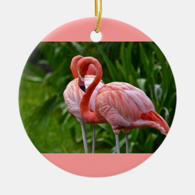 Ornamento Flamingo Americano de Aves Animais (Frente)