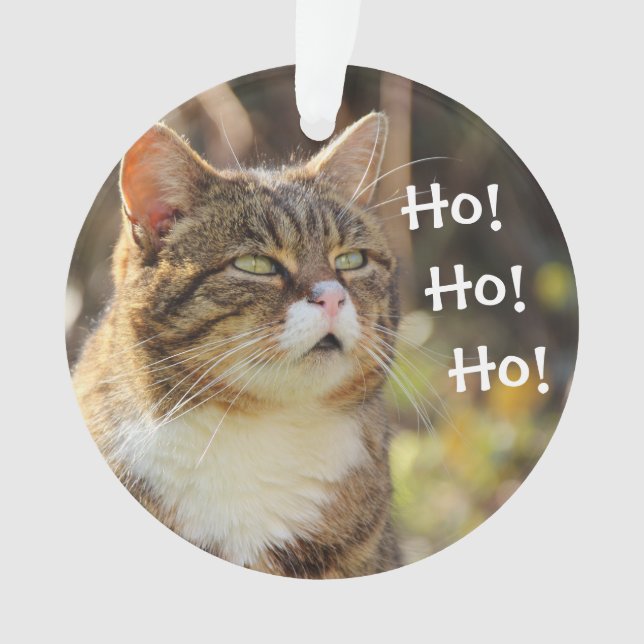 Ornamento Flauffy Cat Christmas — Cute (Frente)