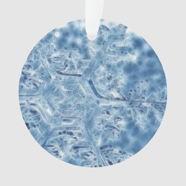 Ornamento Floco de Neve Fractal de Cristal de Gelo Congelado (Frente)