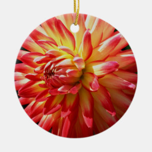 Ornamento Flor Amarelo-Vermelho Dahlia
