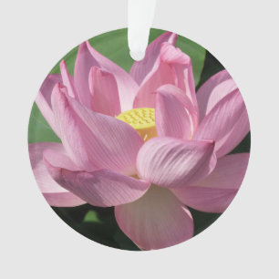 Ornamento Flor de Lotus Rosa IV