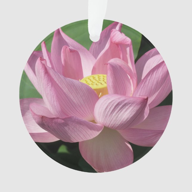 Ornamento Flor de Lotus Rosa IV (Frente)