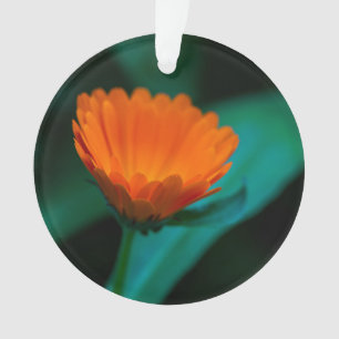 Ornamento Flor de margarida laranja