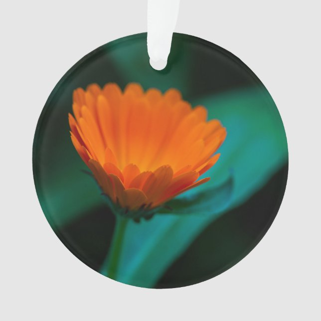 Ornamento Flor de margarida laranja (Frente)