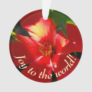 Ornamento Flor Red Hibiscus à Luz do Sol