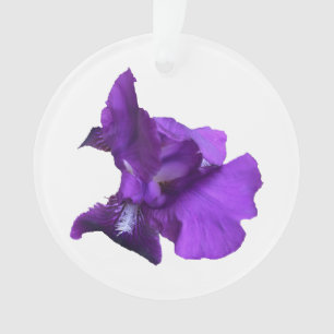 Ornamento Flor Roxo-Íris
