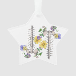Ornamento Floral Anatomy - Vertebrae, Hip Bone