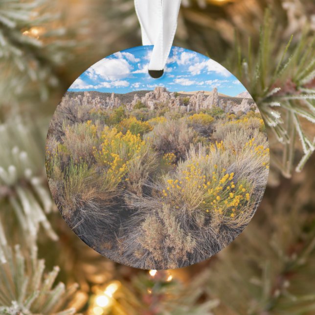 Ornamento Flores | Blooming Sagebrush California (Árvore)